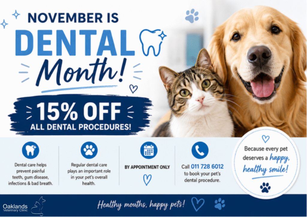 November special
